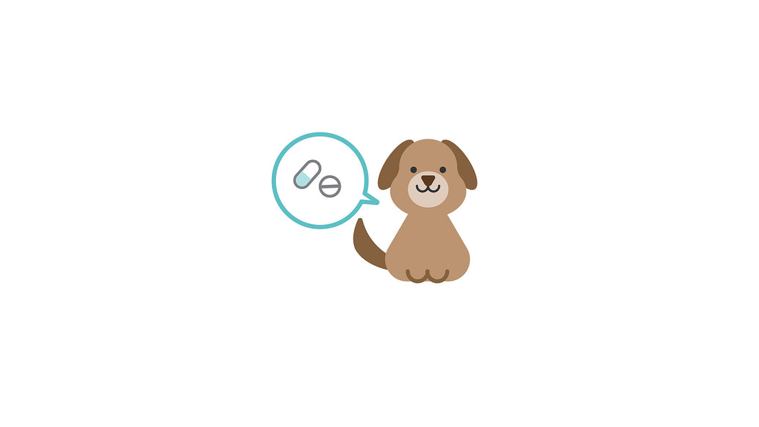 Fenbendazole Directions for Dogs